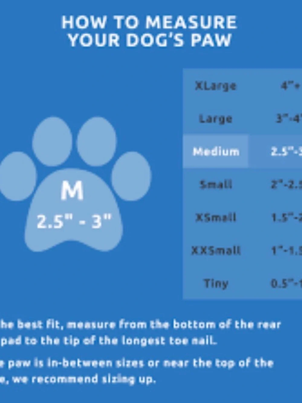 PAWZ Blue Paw Print Size Guide Graphic